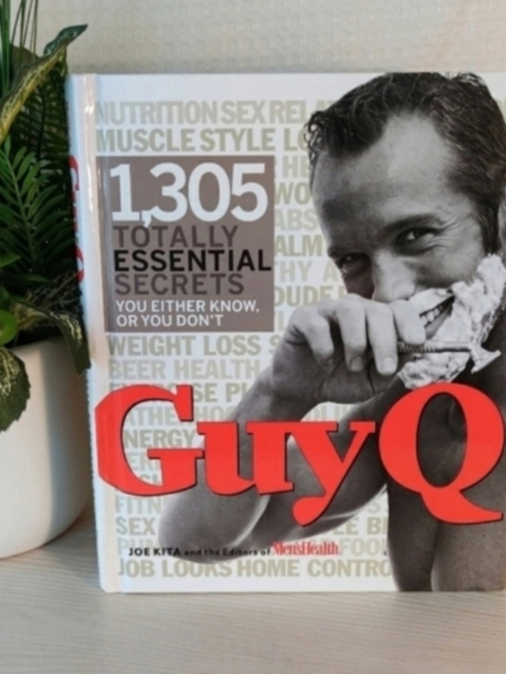 Guy Q, 1,305 Totally Essential Secrets Book by Joe Kita